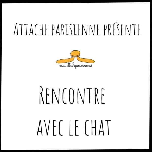 Rencontre avec le chat