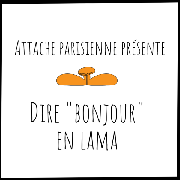 Dire bonjour en lama